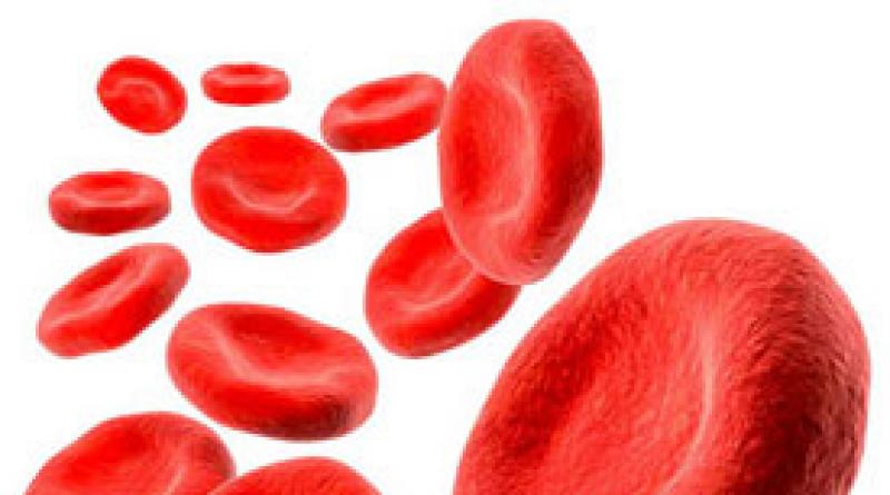 Что покажет клинический анализ крови: расшифровка, нормальные показатели и отклонения